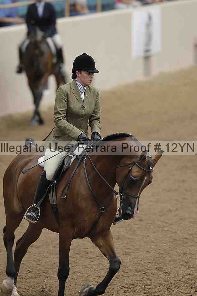 Proof 12yn_03206
