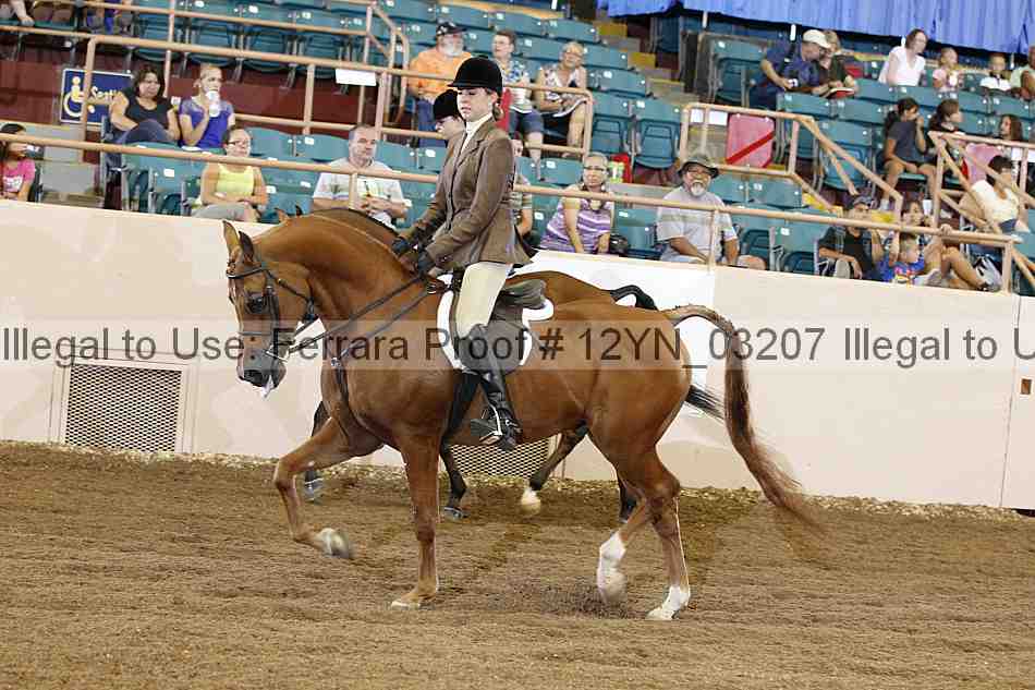 Proof 12yn_03207