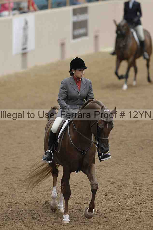 Proof 12yn_03208