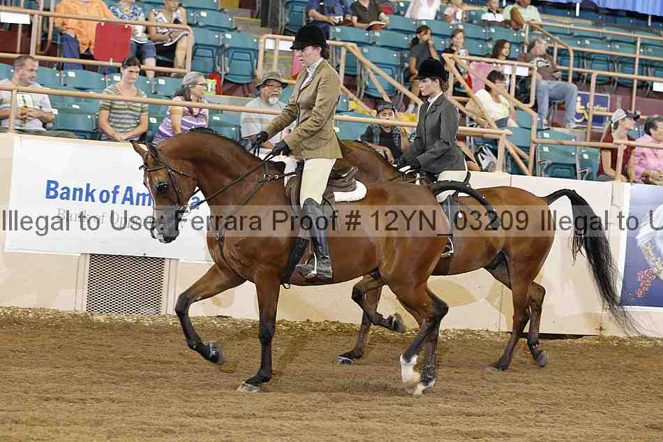 Proof 12yn_03209