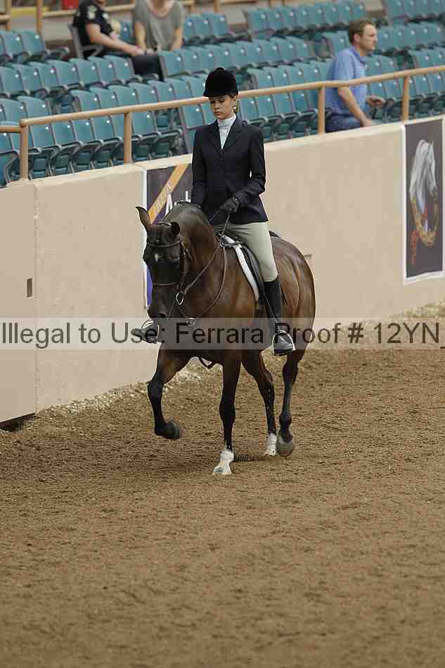 Proof 12yn_03210