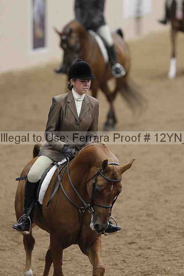Proof 12yn_03219