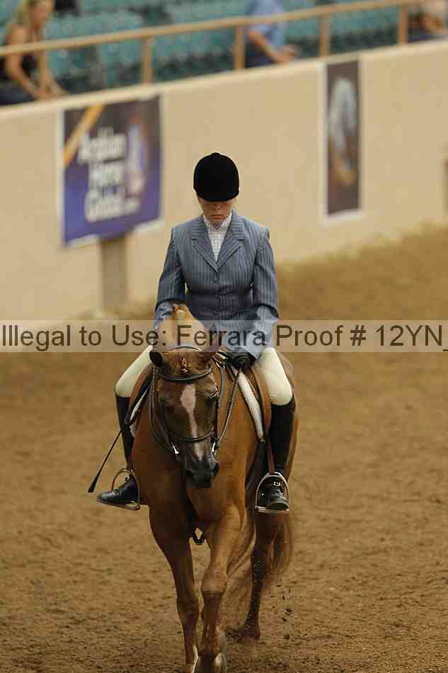 Proof 12yn_03225