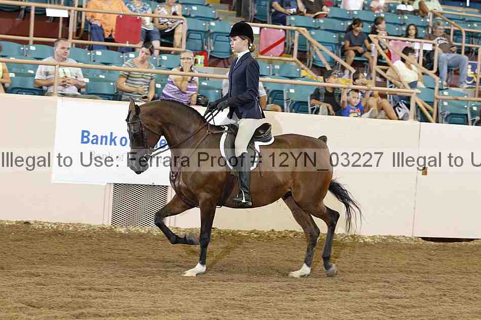 Proof 12yn_03227