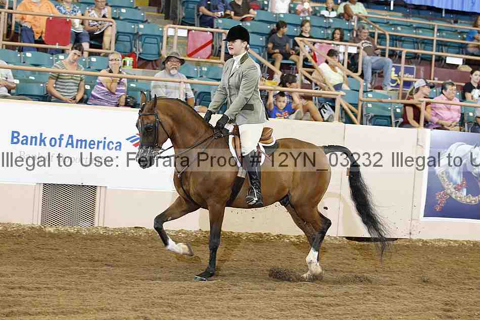 Proof 12yn_03232