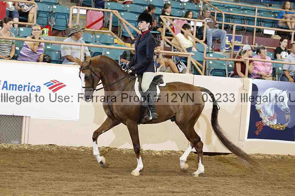 Proof 12yn_03233