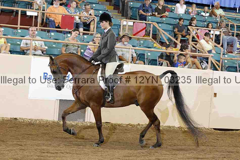 Proof 12yn_03235
