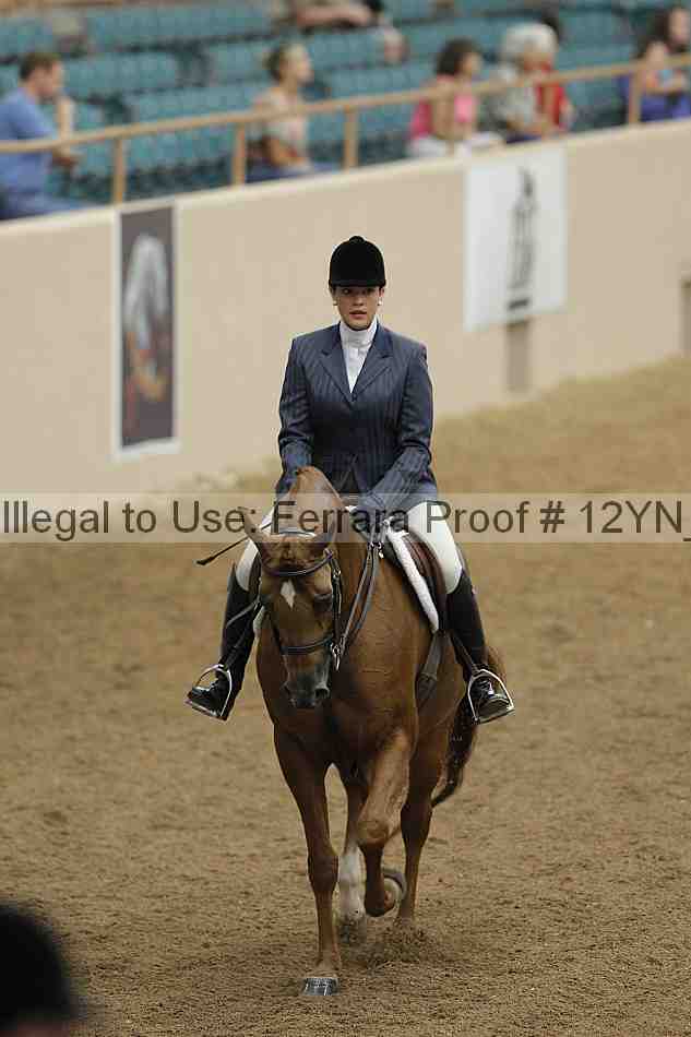 Proof 12yn_03245