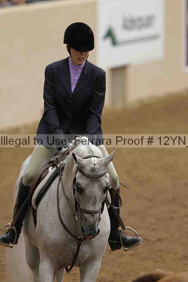 Proof 12yn_03246