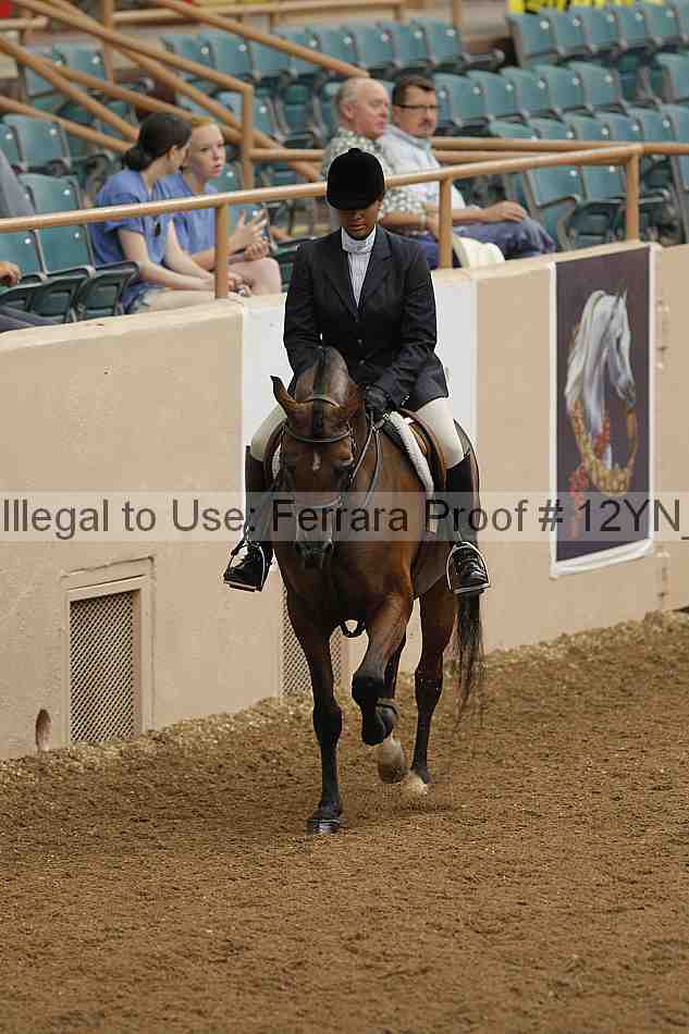 Proof 12yn_03247