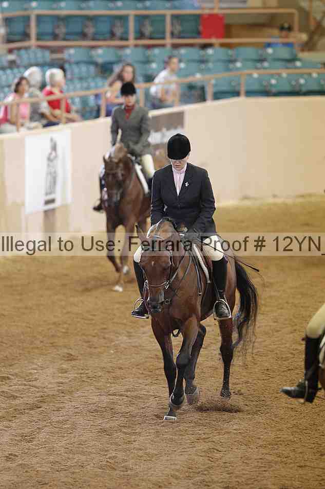 Proof 12yn_03249