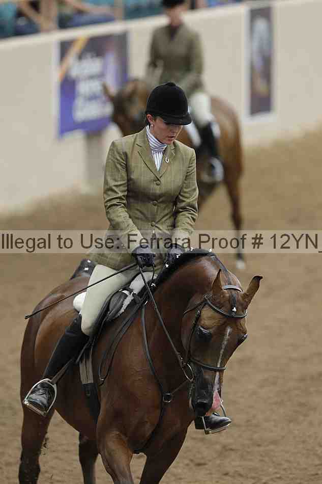 Proof 12yn_03253