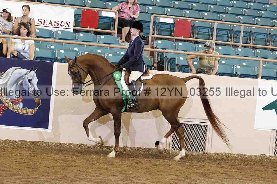 Proof 12yn_03255
