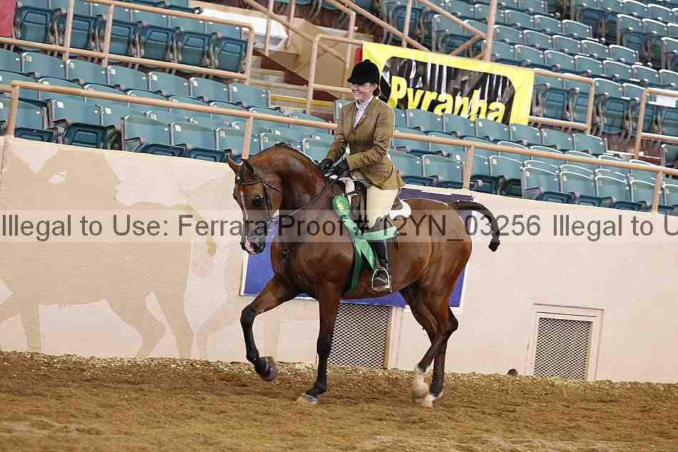 Proof 12yn_03256