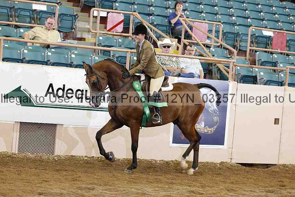 Proof 12yn_03257