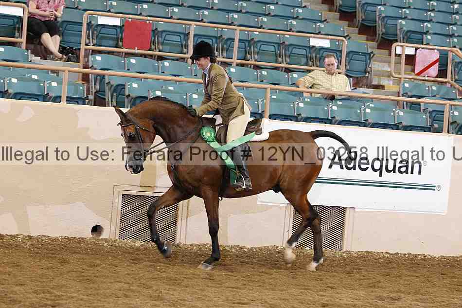 Proof 12yn_03258