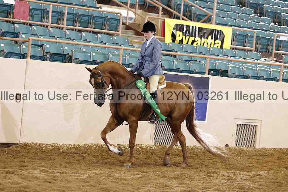 Proof 12yn_03261