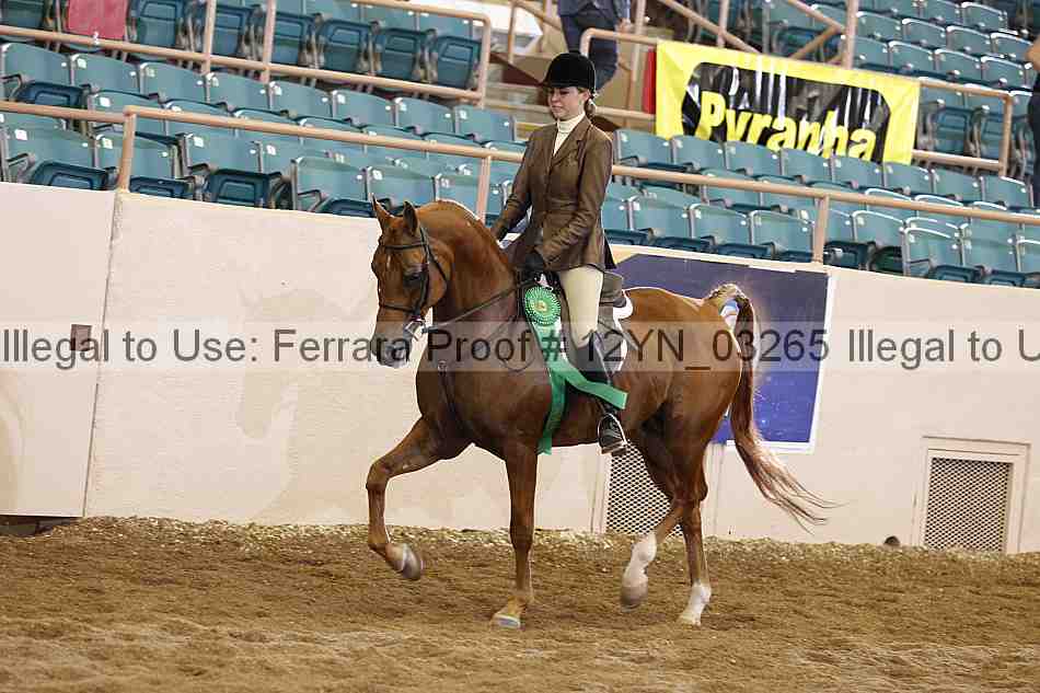 Proof 12yn_03265