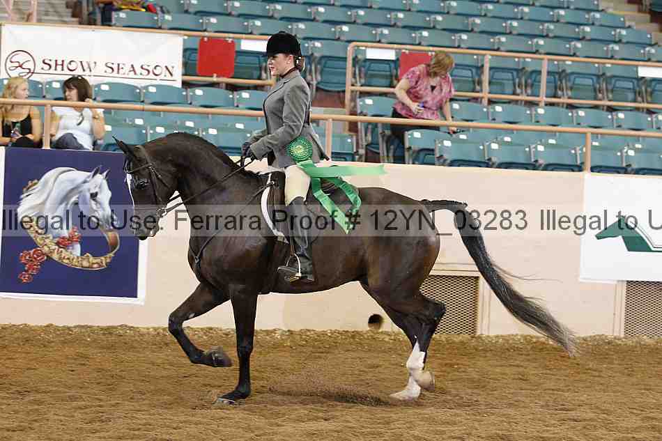 Proof 12yn_03283