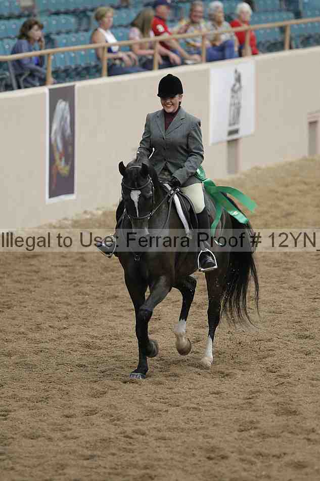 Proof 12yn_03289