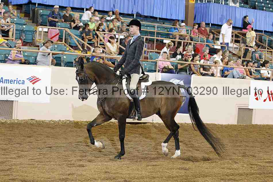 Proof 12yn_03290