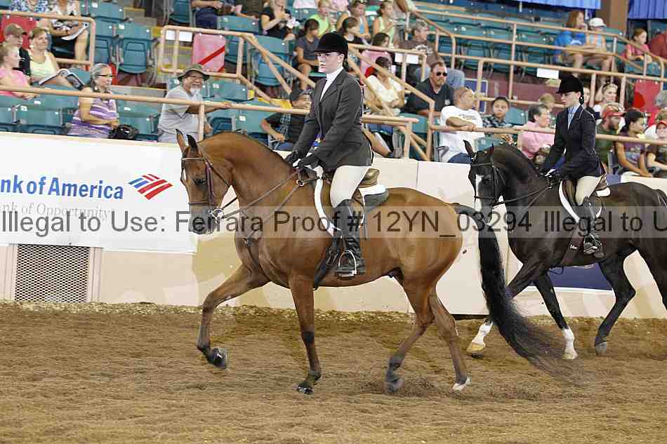 Proof 12yn_03294
