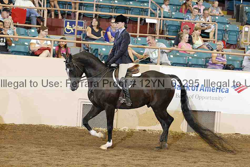 Proof 12yn_03295