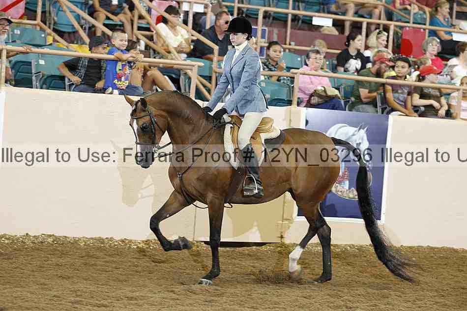 Proof 12yn_03296
