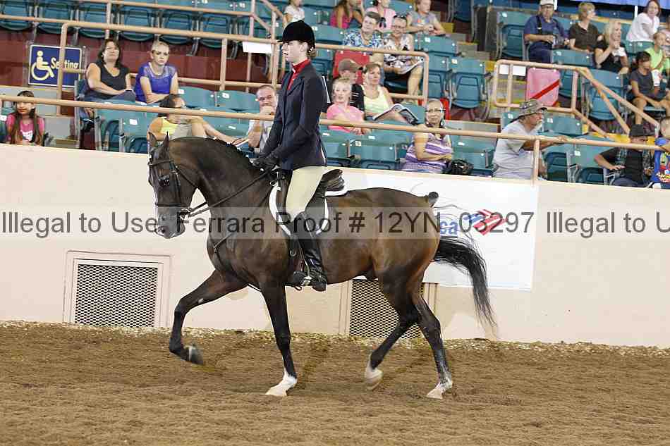 Proof 12yn_03297