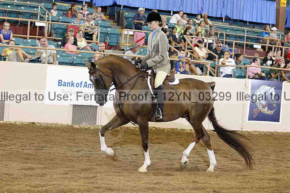 Proof 12yn_03299