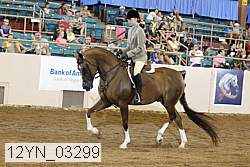 12yn_03299 proof