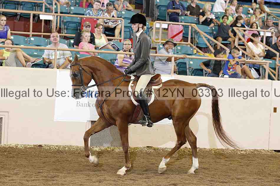 Proof 12yn_03303