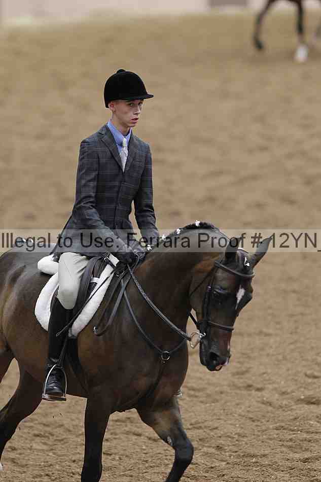 Proof 12yn_03304