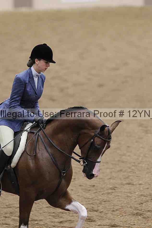 Proof 12yn_03305