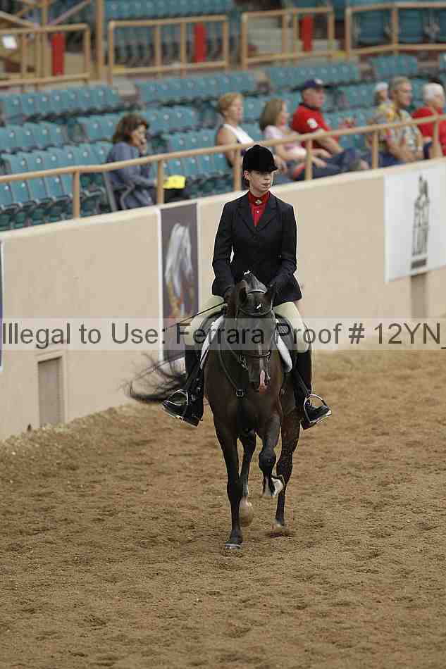 Proof 12yn_03306