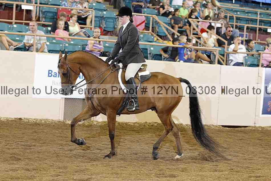 Proof 12yn_03308