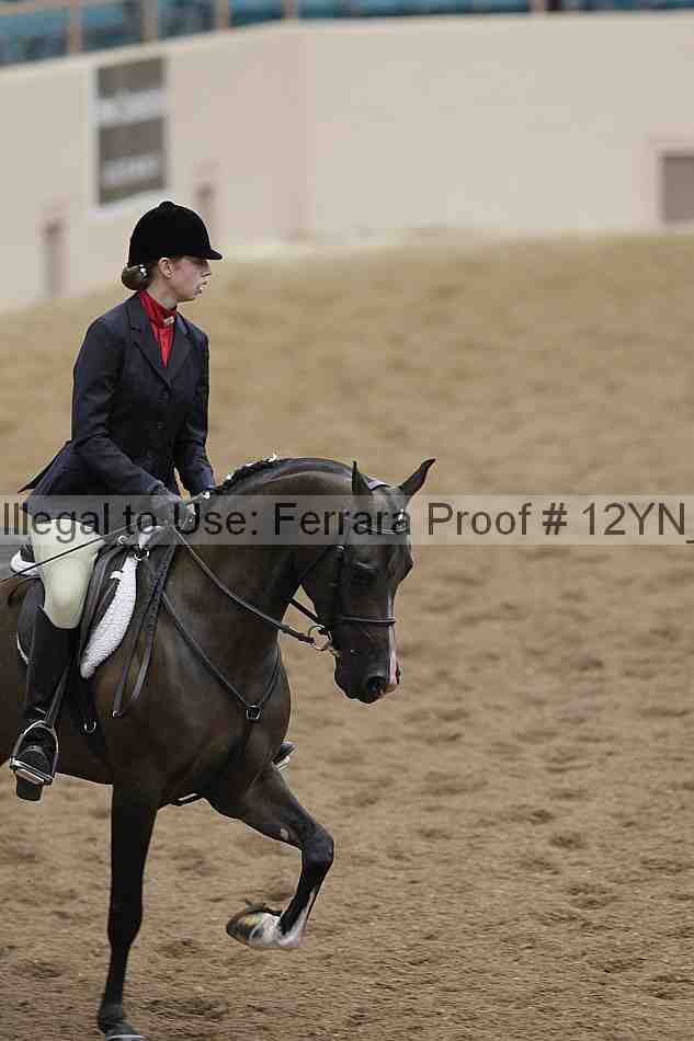 Proof 12yn_03309