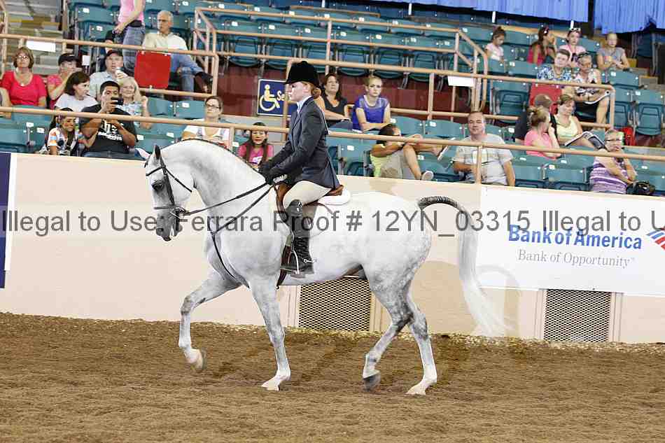 Proof 12yn_03315