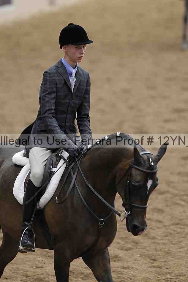 Proof 12yn_03317