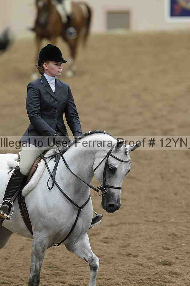 Proof 12yn_03327