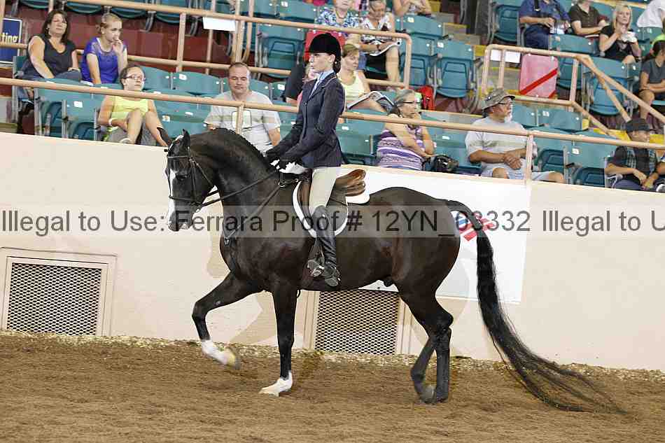 Proof 12yn_03332