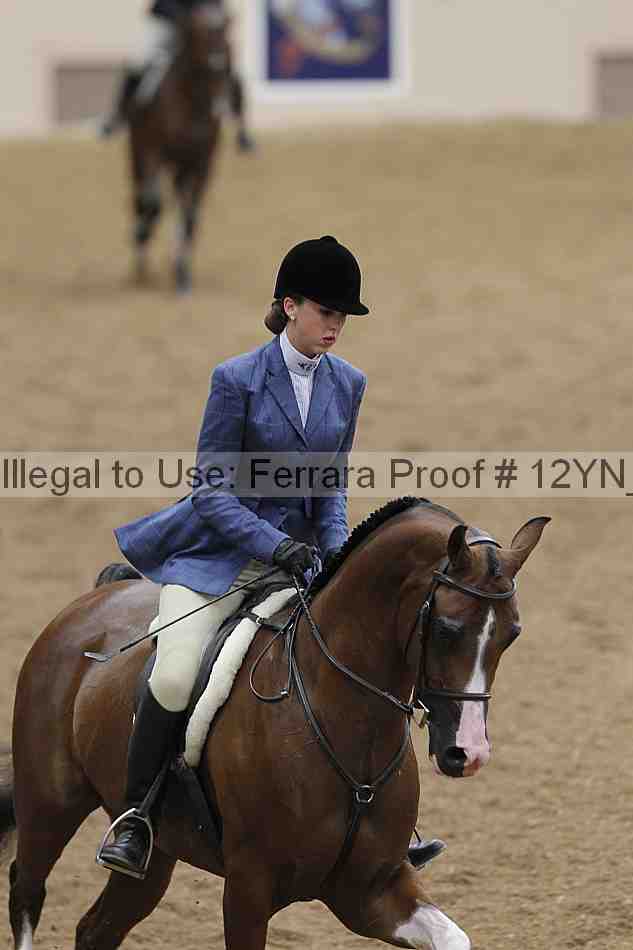 Proof 12yn_03333