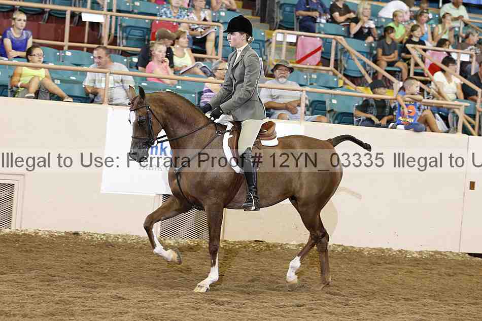 Proof 12yn_03335