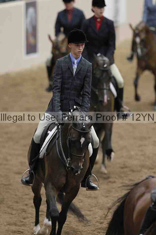 Proof 12yn_03339