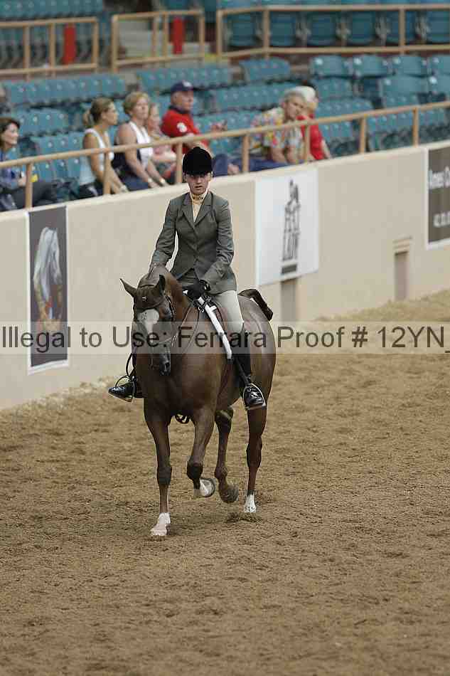 Proof 12yn_03341