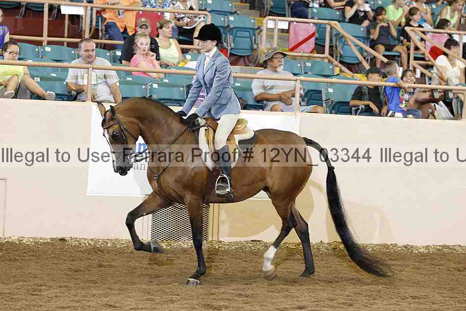 Proof 12yn_03344