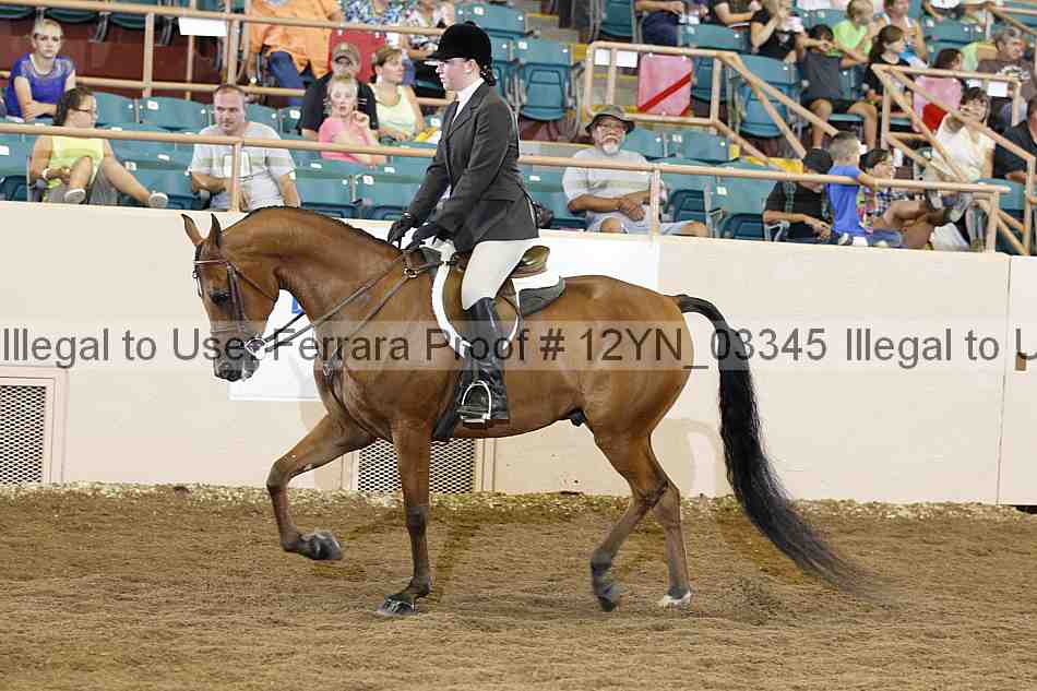Proof 12yn_03345