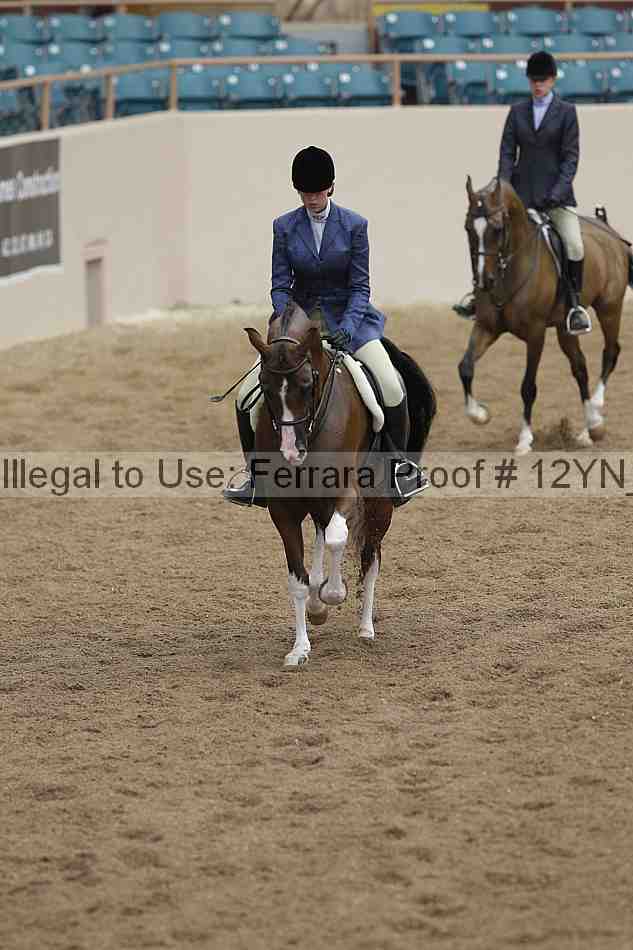 Proof 12yn_03347