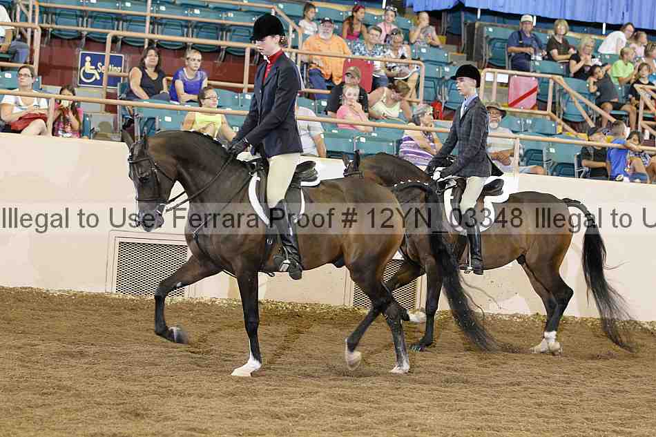 Proof 12yn_03348