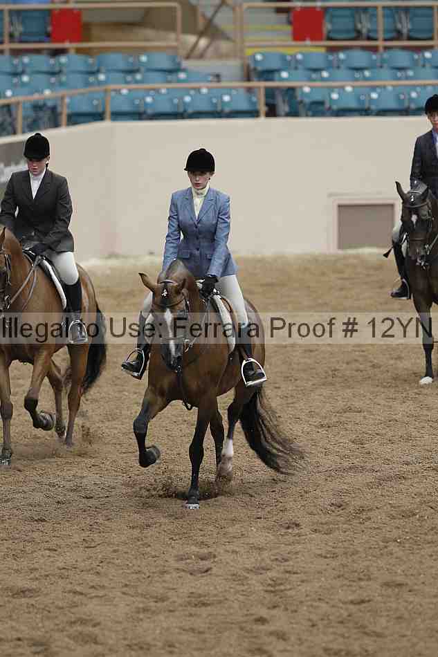 Proof 12yn_03351